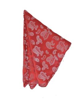 Royal Red Paisley Pattern Print