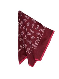 Falu Red with Houndstooth Paisley Pattern